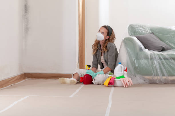 Trusted Mold Inspection service in Dresher, PA - WQB Mold Removal